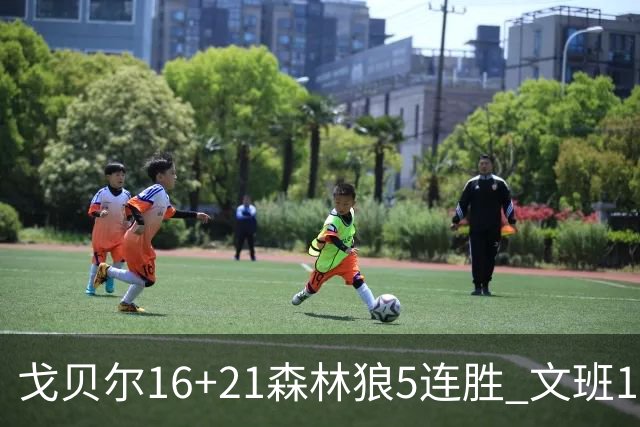 戈贝尔16+21森林狼5连胜 文班12+10马刺15连败
